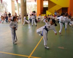 taekwondo (12)