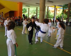 taekwondo (13)