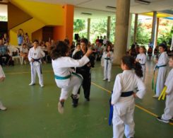 taekwondo (14)