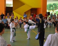 taekwondo (15)