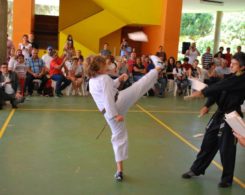 taekwondo (16)