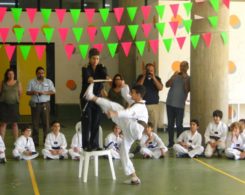 taekwondo (3)