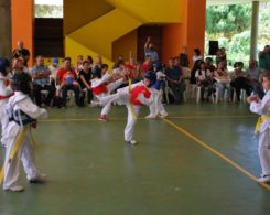taekwondo (8)