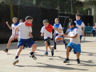 basket (12)