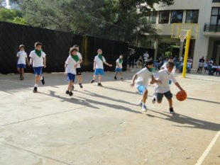 basket (2)