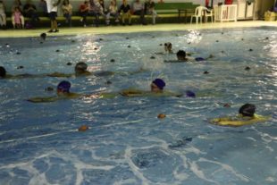 natation (1)