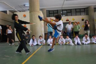 taekwondo (4)