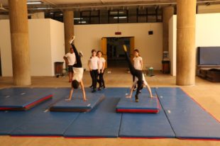 gymnastique artistique (1)