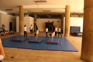 gymnastique artistique (2)