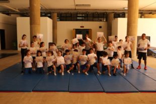 gymnastique artistique (9)