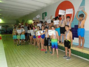 natation (4)