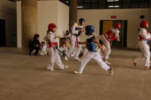 taekwondo (1)