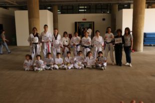 taekwondo (10)