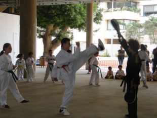 taekwondo (14)