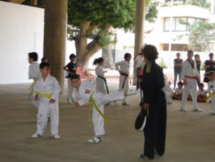 taekwondo (16)