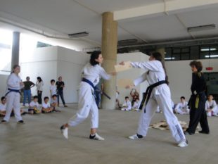 taekwondo (18)