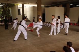 taekwondo (25)