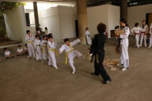 taekwondo (5)