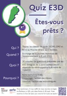 Flyer - Quiz EDD